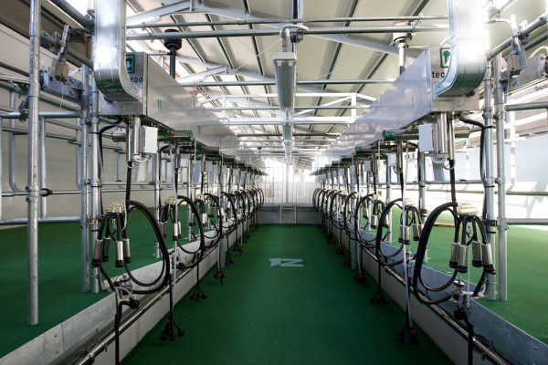 Impianti all'avanguardia