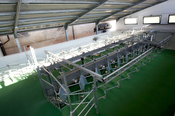 Produzione quotidiana