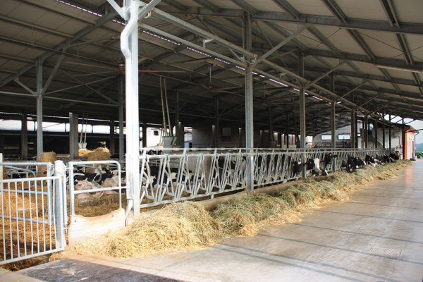 Si parte dalla stalla