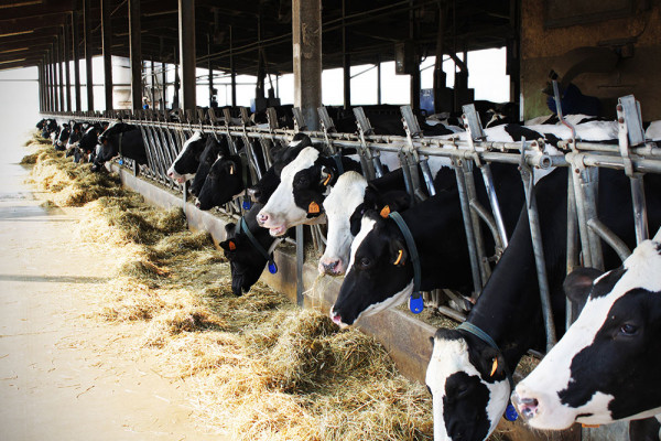 Le nostre protagoniste